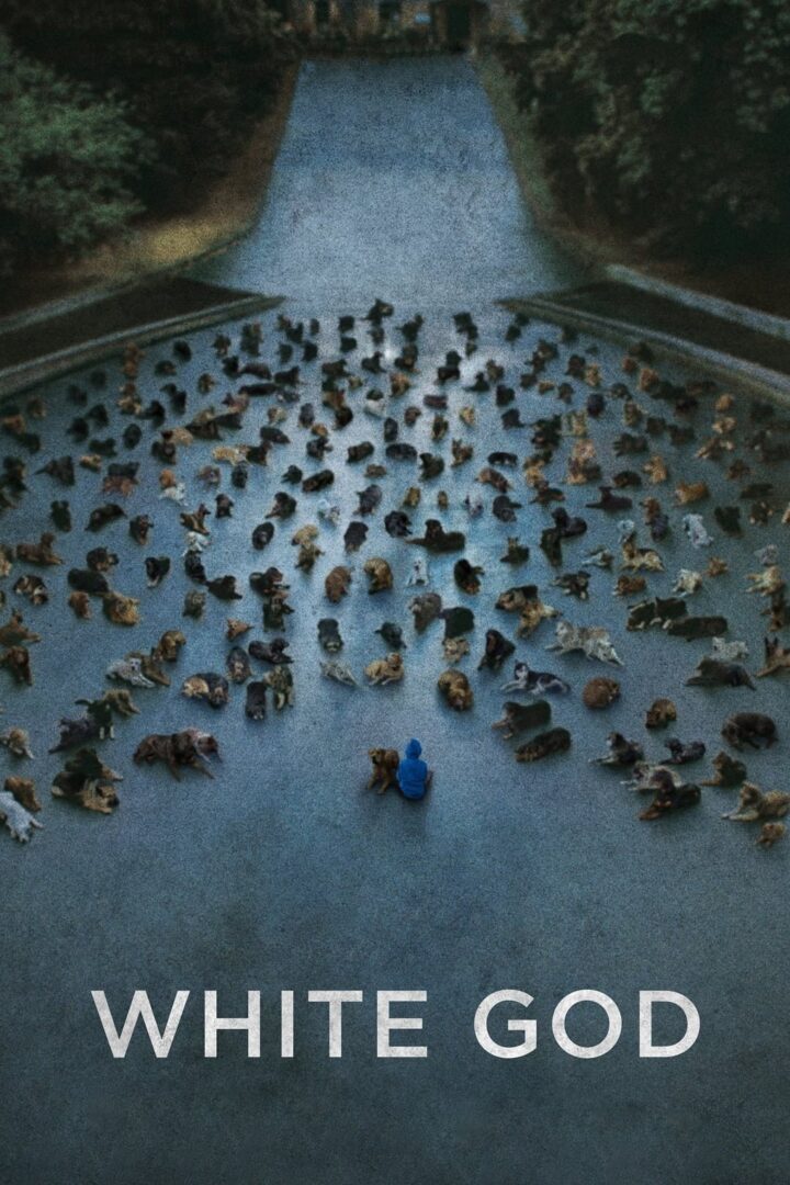 دانلود فیلم White God 2014 بدون سانسور با پخش آنلاین
